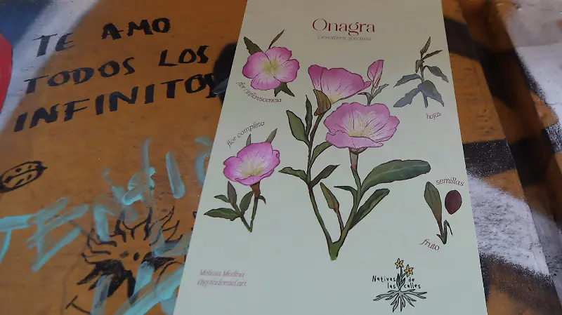ENTREVISTA-DE-NATIVAS-DE-LAS-CALLES-romina solis
